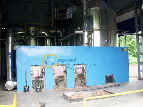 Biomass Briquette Fired Thermic Fluid Heating Systems